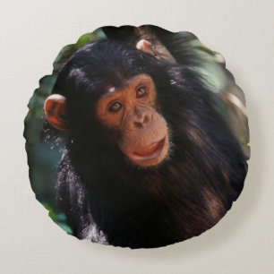 Young Chimpanzee Rundes Kissen