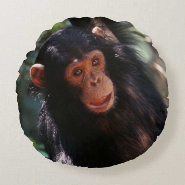 Young Chimpanzee Rundes Kissen (Vorderseite)