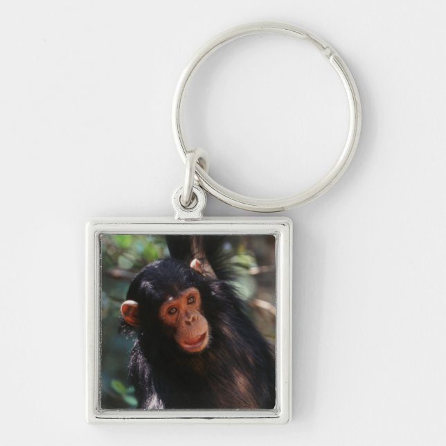 Young Chimpanzee Schlüsselanhänger (Vorne)