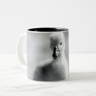 Young Duckling Swan Zweifarbige Tasse