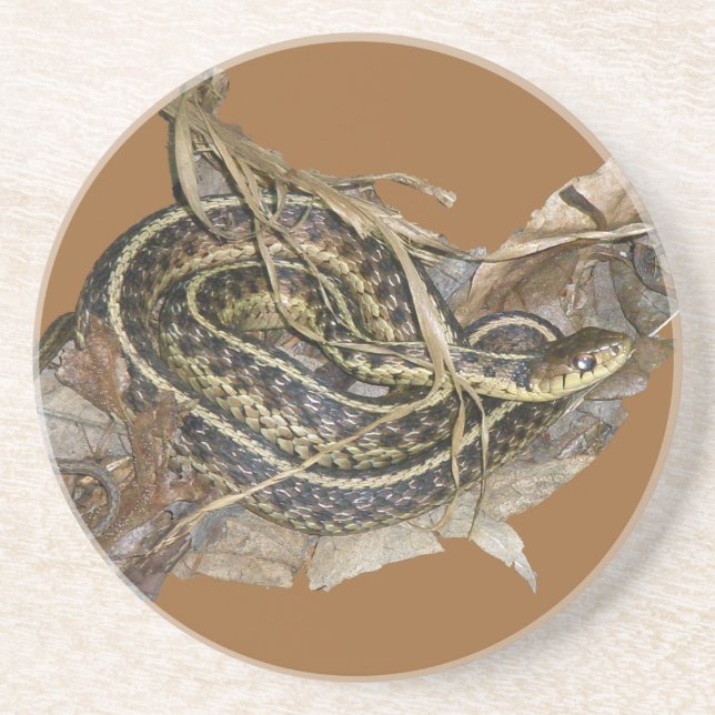 Young Eastern Garter Snake Sandstein Untersetzer (Vorne)