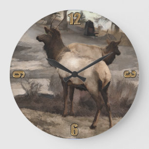 Young Elk Bucks - Banff Alberta Große Wanduhr