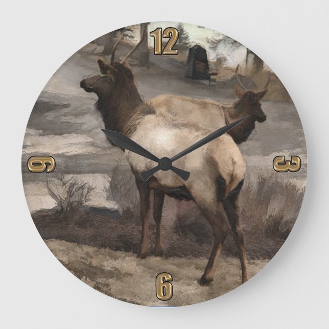 Young Elk Bucks - Banff Alberta Große Wanduhr (Vorderseite)