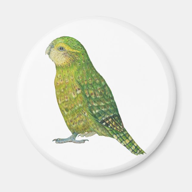 Young Female Kakapo Magnet (Vorne)