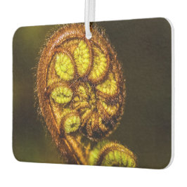 Young Fern Blätter Autolufterfrischer