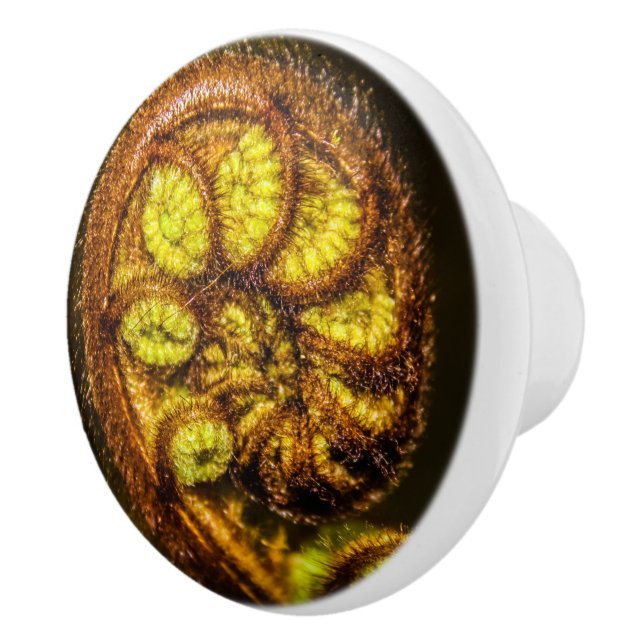 Young Fern Blätter Keramikknauf (Rechts)