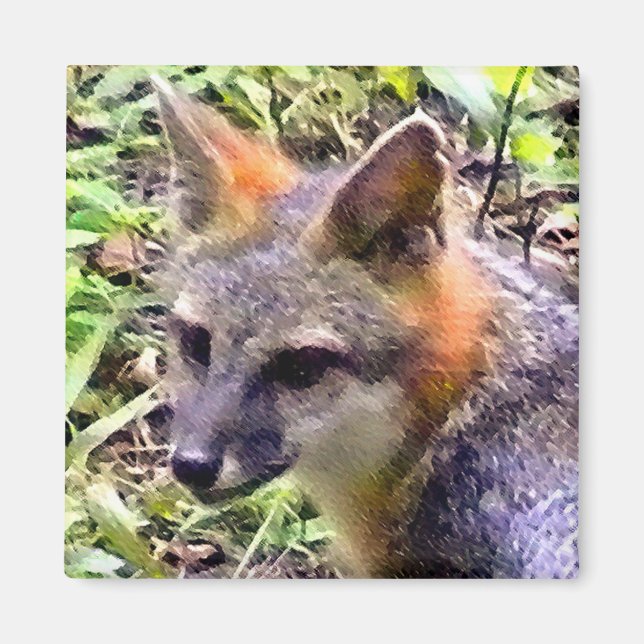 YOUNG FOX MAGNET (Vorne)