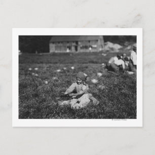 Young Girl Picking Cranberries Fotografie Postkarte