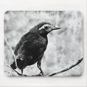 Young Grackle Mousepad
