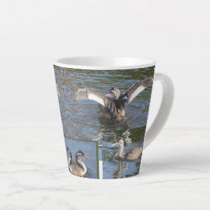 Young Grebe Birds Design Latte Tasse