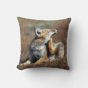 Young Grey Fox im Torres Del Paine Nationalpark Kissen