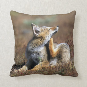 Young Grey Fox im Torres Del Paine Nationalpark Kissen