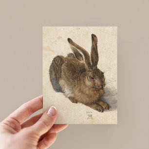 Young Hare   Albrecht Dürer Postkarte