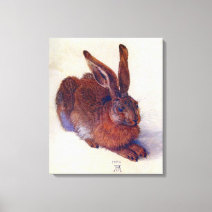 Young Hare by Albrecht Durer, Renaissance Fine Art Leinwanddruck