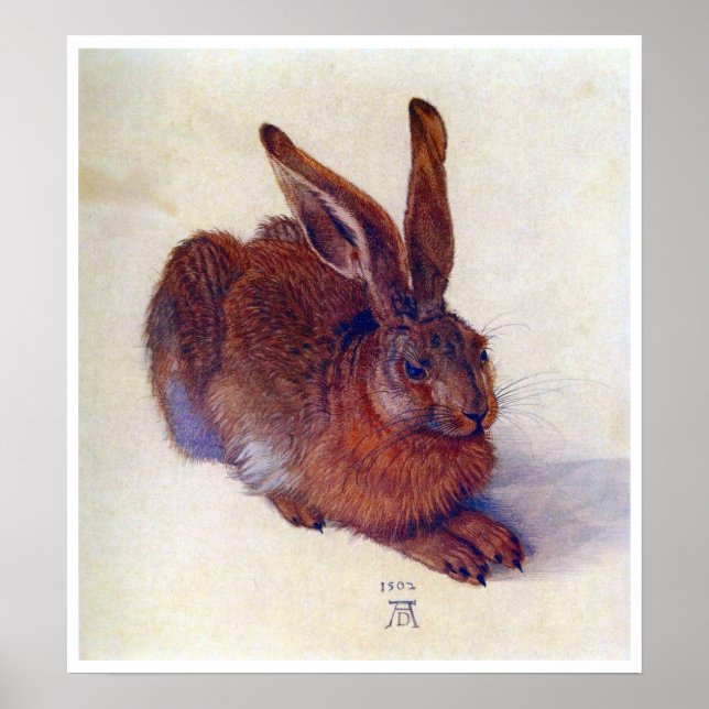 Young Hare by Albrecht Durer, Renaissance Fine Art Poster (Vorne)