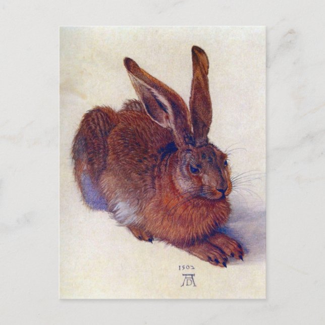 Young Hare by Albrecht Durer, Renaissance Fine Art Postkarte (Vorderseite)