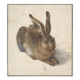 Young Hare von Albrecht Durer Fotodruck
