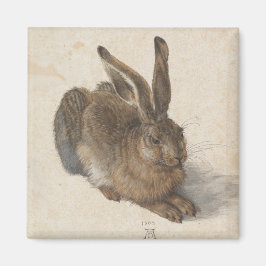 Young Hare von Albrecht Durer Magnet