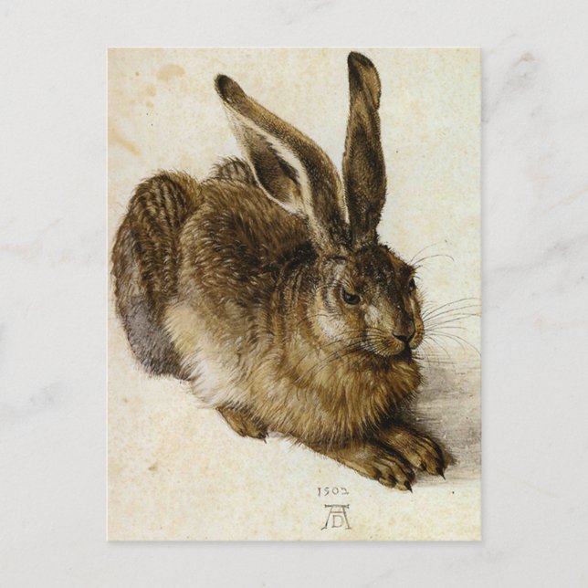 "Young Hare" von Albrecht Dürer Postkarte (Vorderseite)