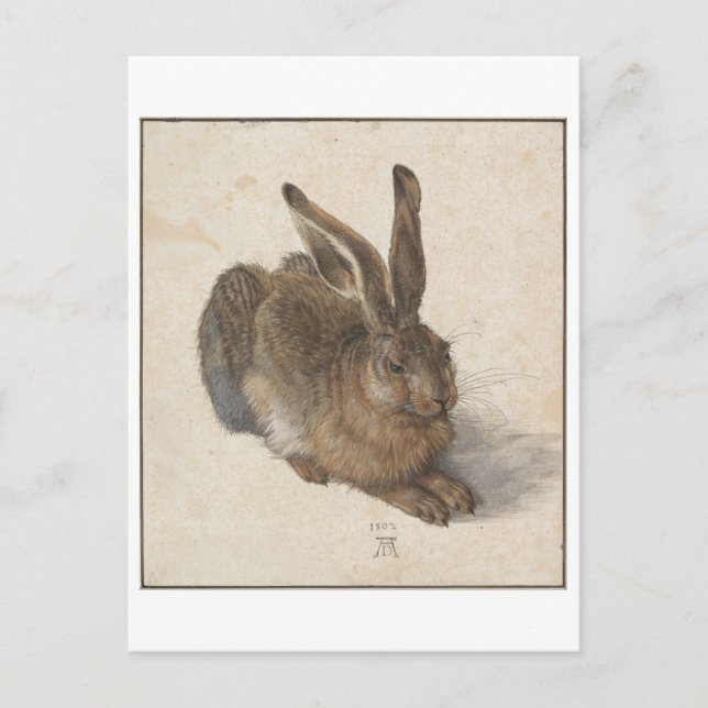 Young Hare von Albrecht Durer Postkarte (Vorderseite)