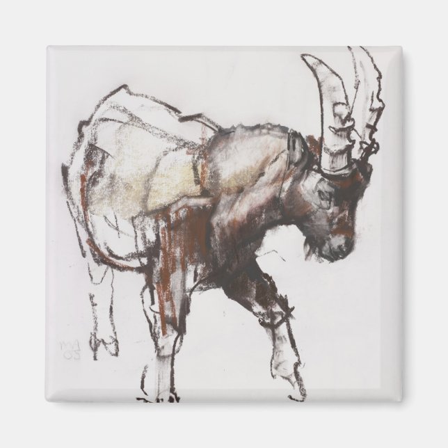 Young Ibex Gran Paradiso 2005 Magnet (Vorne)