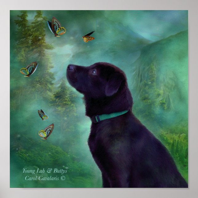 Young Labrador & Buttys Art Poster/Print Poster (Vorne)