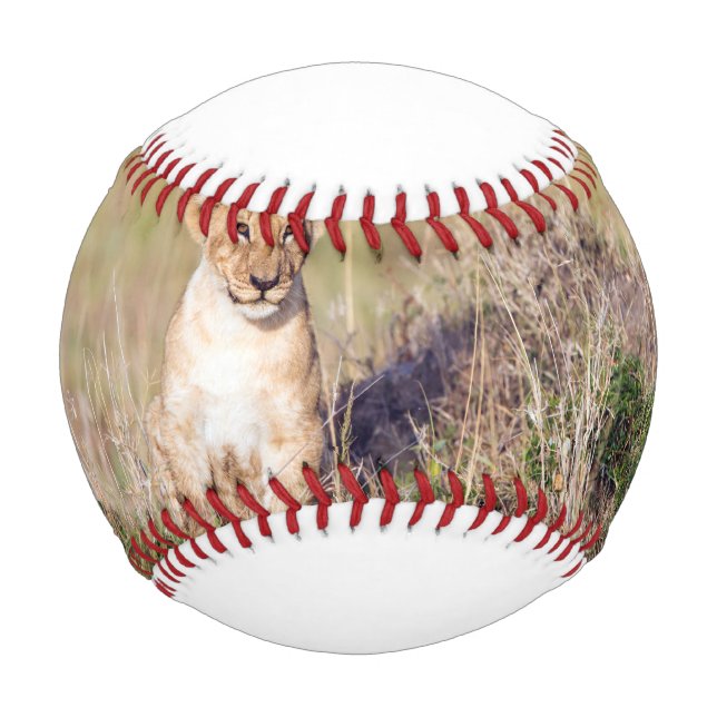 Young lion baseball (Vorderseite)