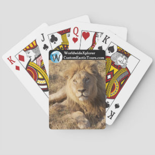 Young Lion Deck of Cards Spielkarten