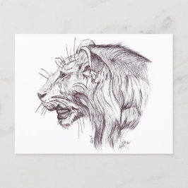 YOUNG LION POSTKARTE