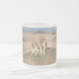 Young lions mattglastasse