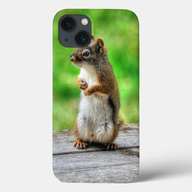 Young Male Squirrel Stehend Wildlife Foto Case-Mate iPhone Hülle (Rückseite)