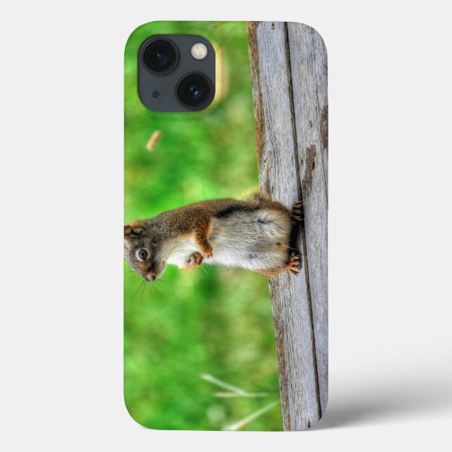 Young Male Squirrel Stehend Wildlife Foto Case-Mate iPhone Hülle (Rückseite)