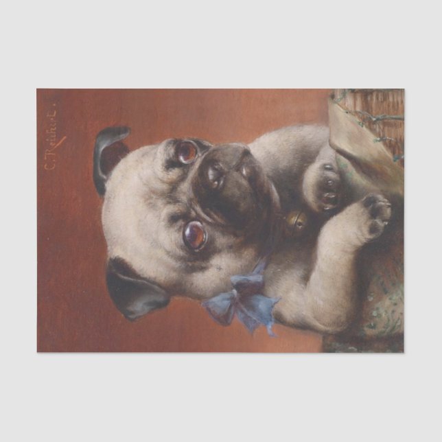 Young Mops von Carl Reichert Seidenpapier (Vorderseite)