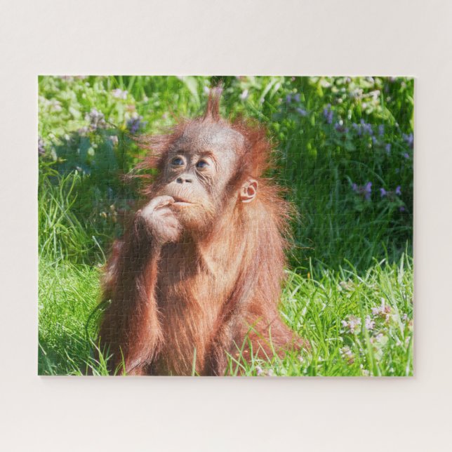 Young Orangutan Deep in Thread (Horizontal)