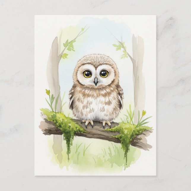 Young Owl Baby Wild Animals Postkarte (Vorderseite)