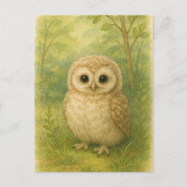 Young Owl Baby Wild Animals Postkarte