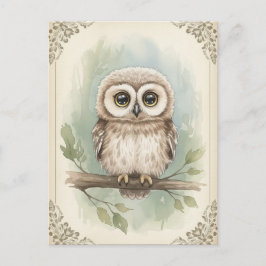 Young Owl Baby Wild Animals Postkarte