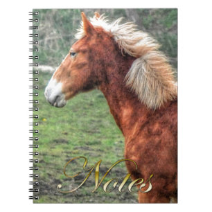 Young Palomino Colt Horse-Lover Design Notizblock