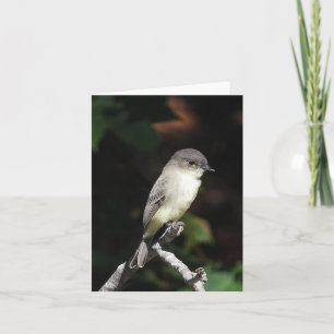 Young Phoebe blank inside Karte