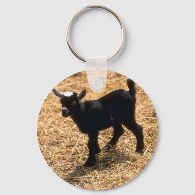 Young Pigmy Goat Schlüsselanhänger (Vorderseite)