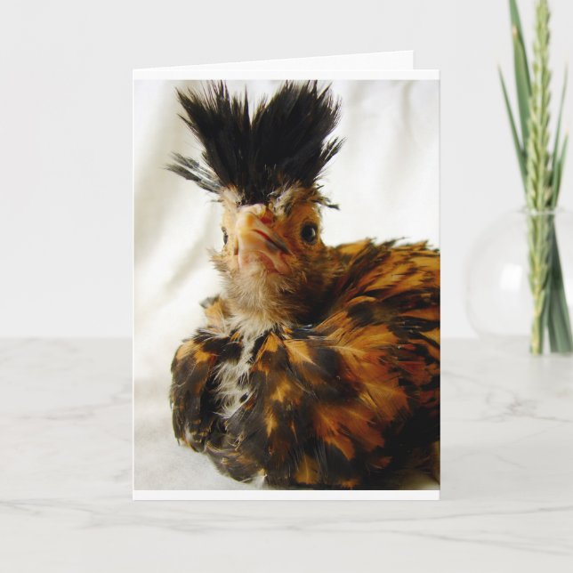 Young Polska Karte (Vorderseite)