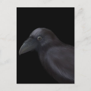 Young Raven Postkarte