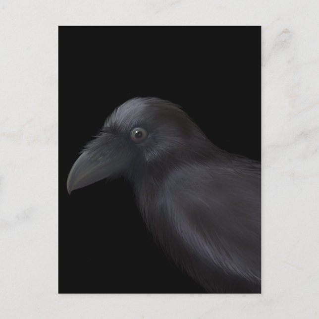Young Raven Postkarte (Vorderseite)