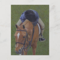 Young Rider & Pony