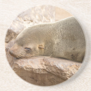Young Sea Löwe Getränkeuntersetzer