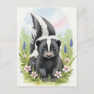Young Skunk Baby Wild Animals Postcard Postkarte