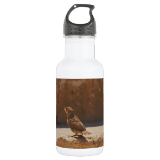 Young Sparrow Trinkflasche