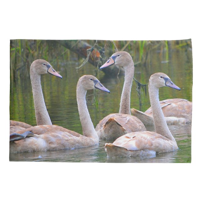 Young Swans Kissenbezug (Rückseite)