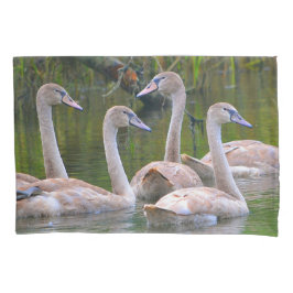 Young Swans Kissenbezug