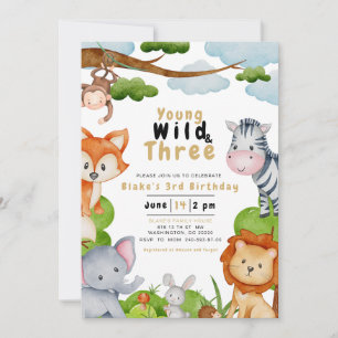 Young Wild et Three Third Birthday Invitation